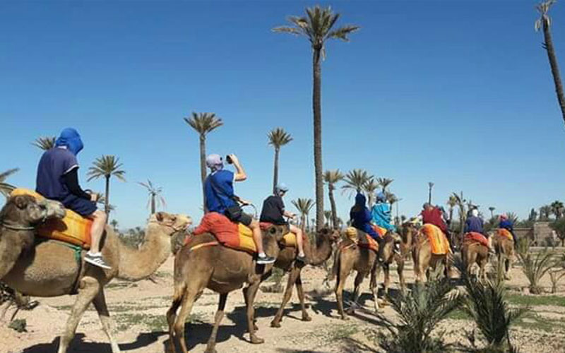 Camel Ride Marrakech
