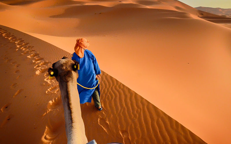 Zagora-Desert-Tour